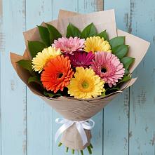 Букет цветов из:  Герберы #REPLACE_PRED# Новоизобильном