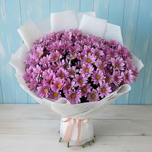 Букет цветов из:  Хризантемы в Новоизобильном