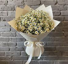 Букет цветов из:  Ромашки #REPLACE_PRED# Новоизобильном