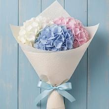 Букет цветов из:  Гортензия в Новоизобильном