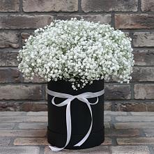 Цветочная композиция из Гипсофила в шляпной коробке в Новоизобильном