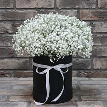 Цветочная композиция из Гипсофила в шляпной коробке в Новоизобильном