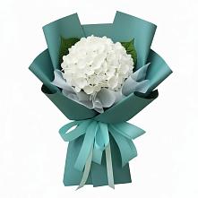 Букет цветов из:  Гортензия в Новоизобильном